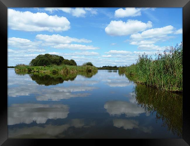 Clouds reflecting in the waters of the reed beds Framed Print by simon brown