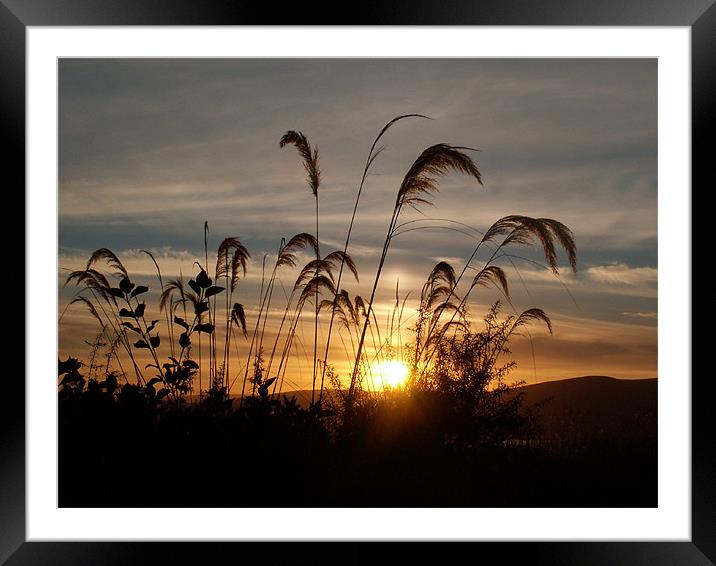Loch Lomond Sunset Framed Mounted Print by Mark King