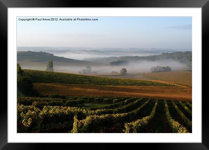 Mist over Cognac Vines Framed Mounted Print by Paul Amos