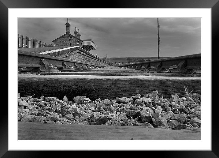 Silent View Framed Mounted Print by Dave Reed