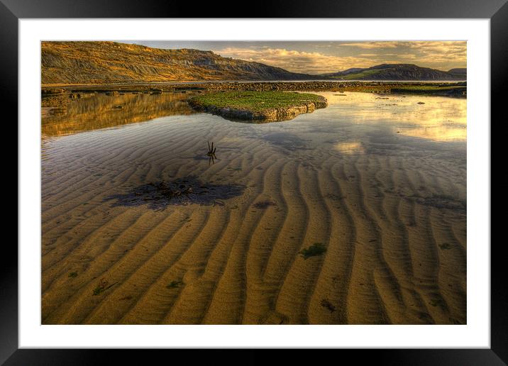 Lyme Bay Framed Mounted Print by Dave Reed