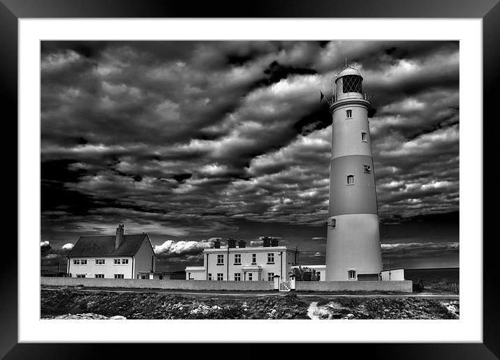 Bill the Light Framed Mounted Print by Dave Reed