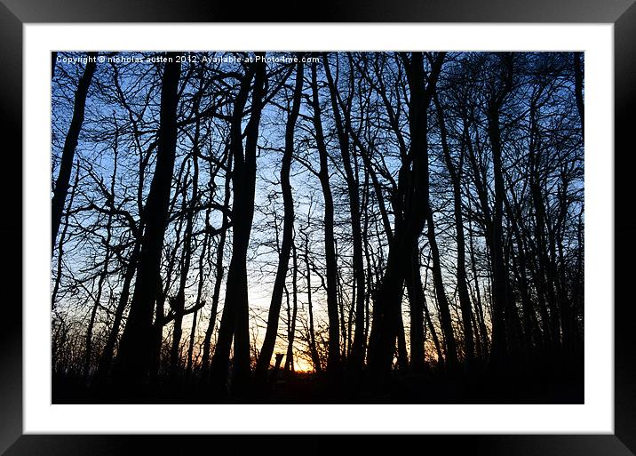 Sunset in the Woods Framed Mounted Print by nicholas austen