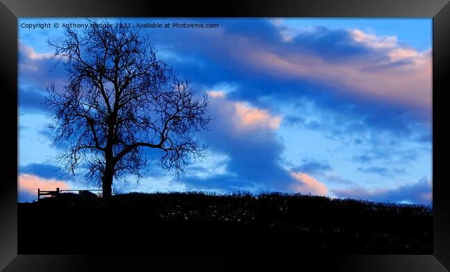 Early evening sky Framed Print by Anthony Hedger
