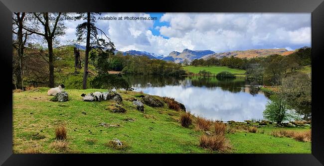  Loughrigg Tarn Framed Print by Anthony Hedger