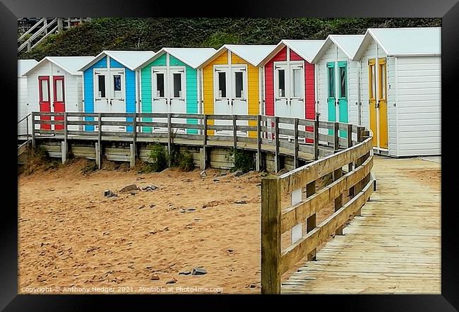 Colourful beach huts Framed Print by Anthony Hedger