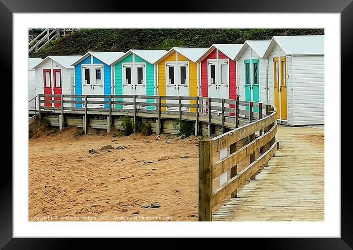 Colourful beach huts Framed Mounted Print by Anthony Hedger