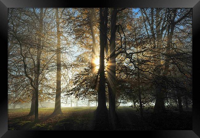 Misty Morning Framed Print by Simon Deacon