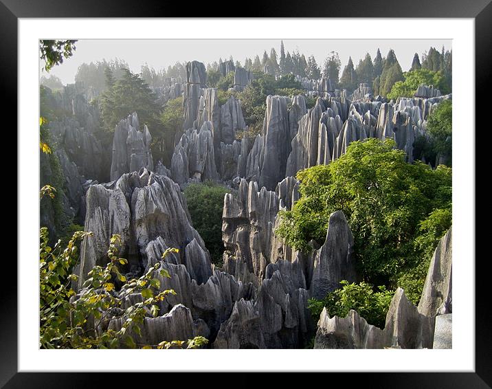 The four seasons at The Stone Forest Framed Mounted Print by Rong  Kruckner