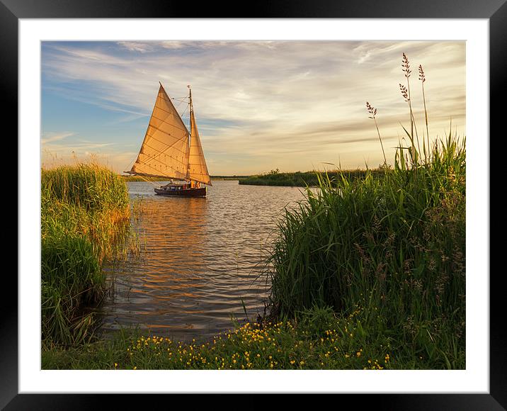 Sailing into the sun Framed Mounted Print by steve docwra