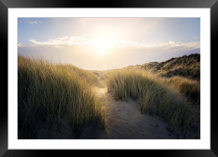 Lost in the Sand Dunes Framed Mounted Print by steve docwra