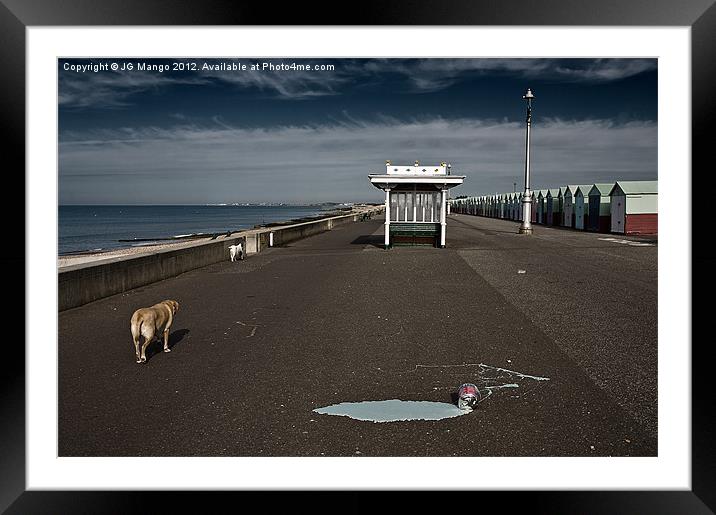 Brighton Dogs Framed Mounted Print by JG Mango