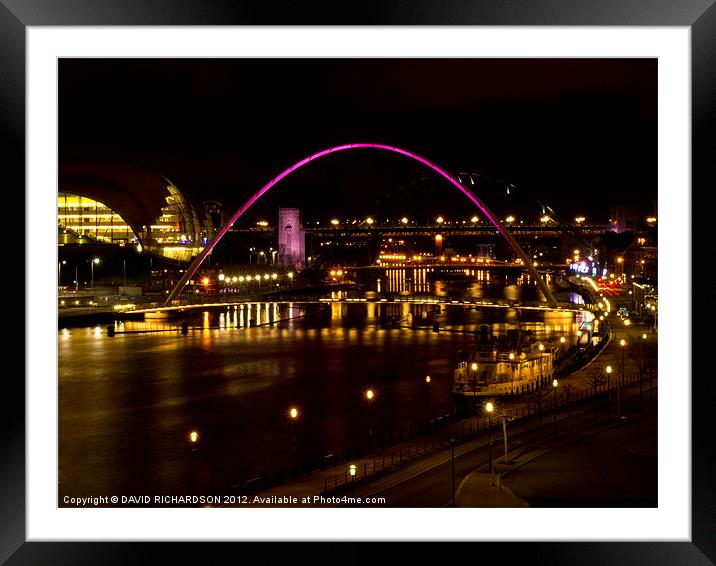 Newcastle Framed Mounted Print by DAVID RICHARDSON