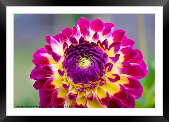 Flower Power Framed Mounted Print by Steve Hughes