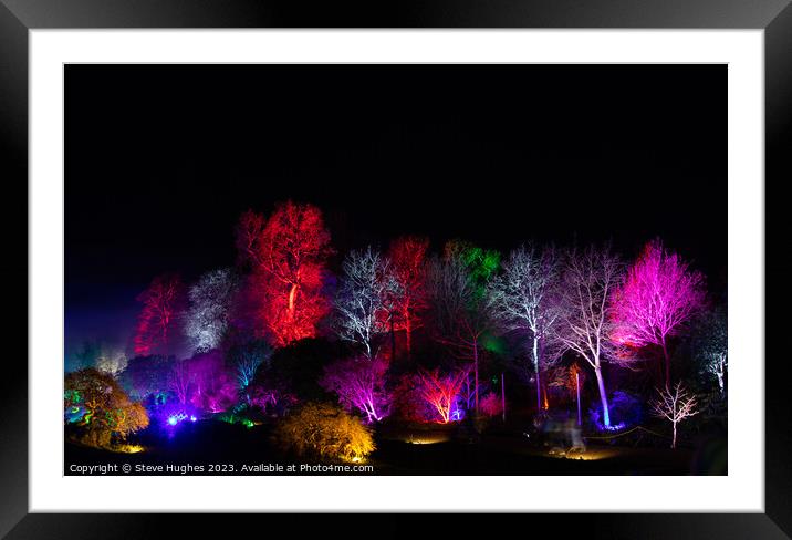 Colourful trees at night Framed Mounted Print by Steve Hughes