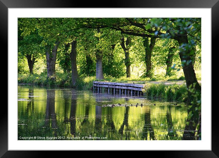 Spring reflections on Basingstoke Canal Framed Mounted Print by Steve Hughes