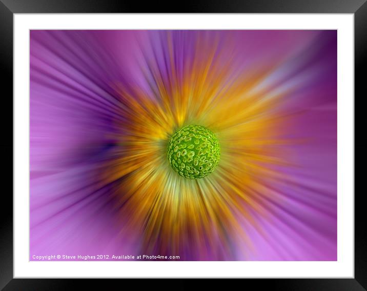 Planet Anemone Framed Mounted Print by Steve Hughes