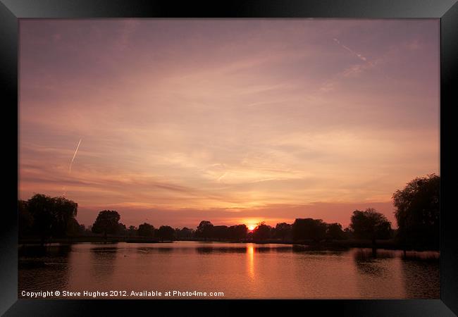 Bushy Park Sunset Framed Print by Steve Hughes