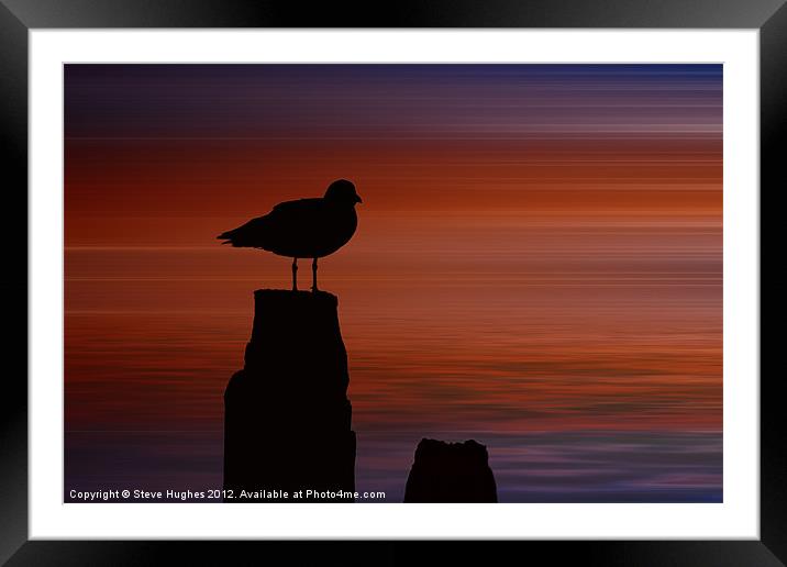 Bird Silhouette manipulation Framed Mounted Print by Steve Hughes