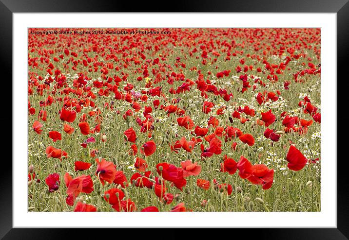 Red Sea of Poppies Framed Mounted Print by Steve Hughes