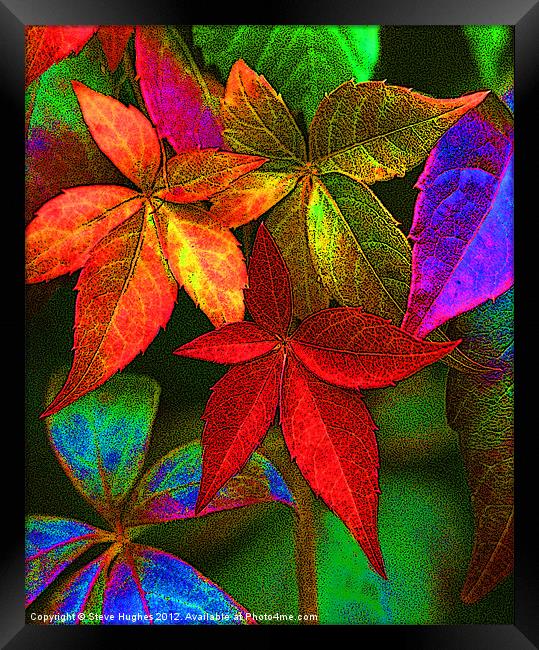 Vibrant multi coloured leaves Framed Print by Steve Hughes