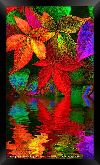 multi coloured leaves Framed Print by Steve Hughes