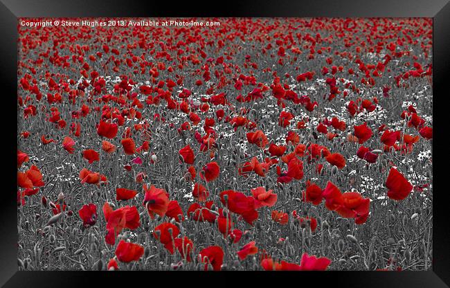 Poppy field selective colouring Framed Print by Steve Hughes