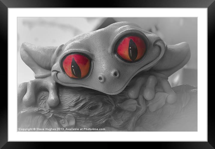 Red Eyed Frog Framed Mounted Print by Steve Hughes