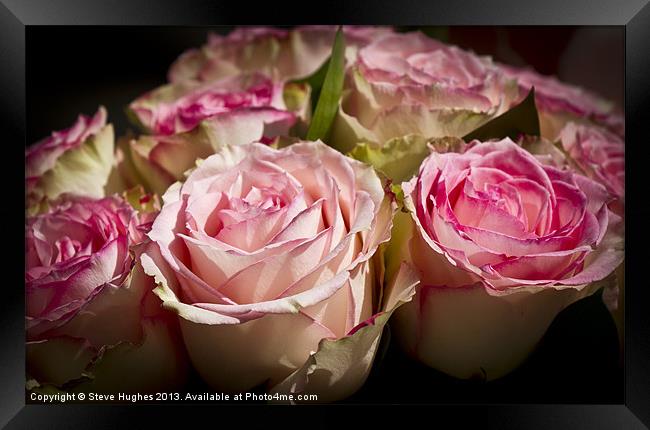 Rose Wedding Bouquet Framed Print by Steve Hughes