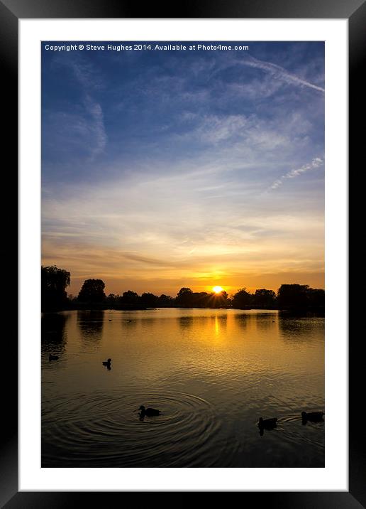  Bushy Park Sunset Framed Mounted Print by Steve Hughes