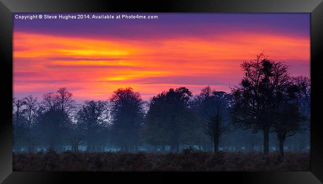 Orange sky across Windsor Great Park Framed Print by Steve Hughes