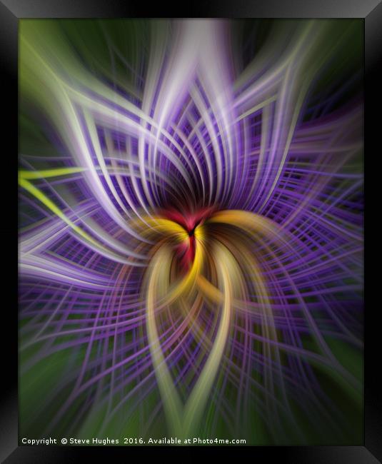 Purple Passion flower manipulation Framed Print by Steve Hughes