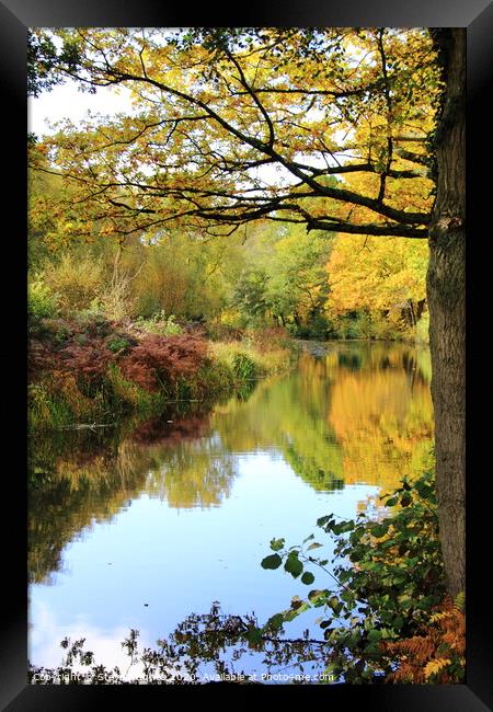 Basingstoke Canal in Autumnal colours Framed Print by Steve Hughes