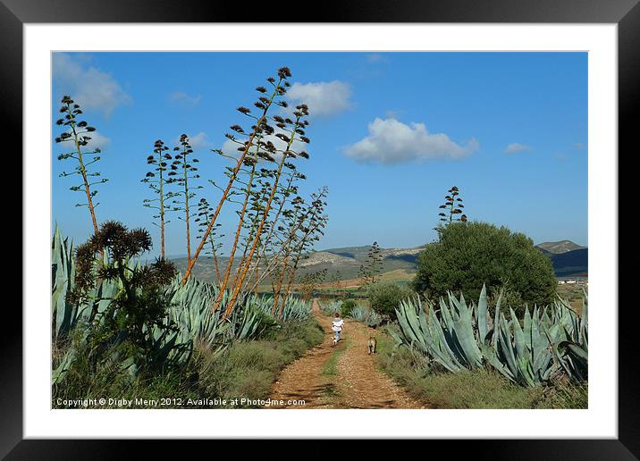 A walk through the agave Framed Mounted Print by Digby Merry