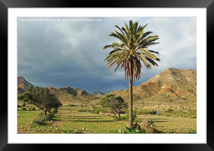 El Valle de Rodalquilar Framed Mounted Print by Digby Merry