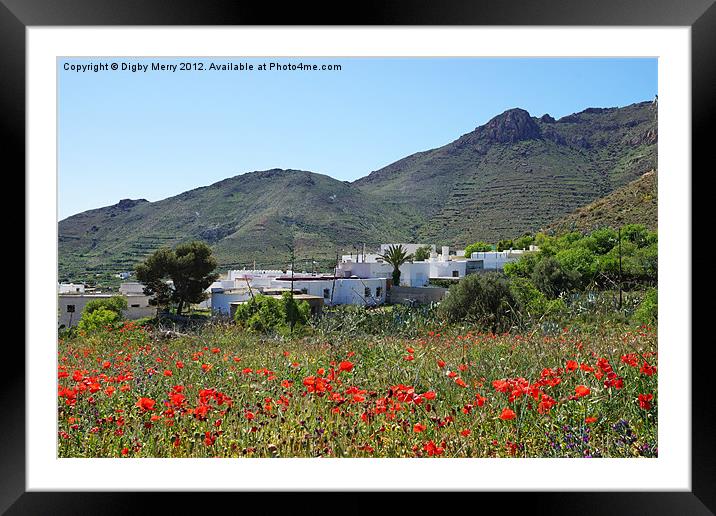 Village with poppies Framed Mounted Print by Digby Merry