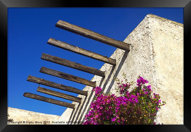 Old farm with bougainvillea Framed Print by Digby Merry