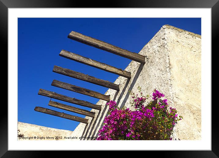 Old farm with bougainvillea Framed Mounted Print by Digby Merry