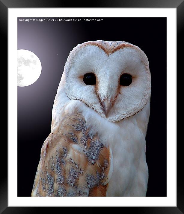 Barn Owl by Full Moon Framed Mounted Print by Roger Butler