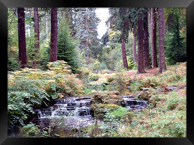 Hidden Valley, Rambling Stream Framed Print by Roger Butler