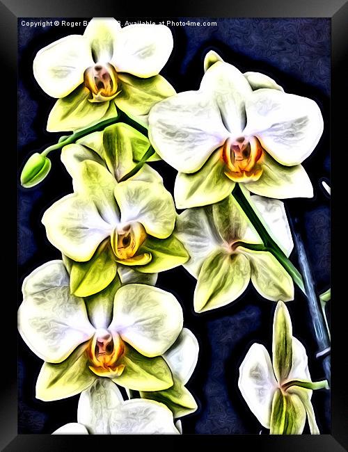 Yellow Orchids in Relief Framed Print by Roger Butler