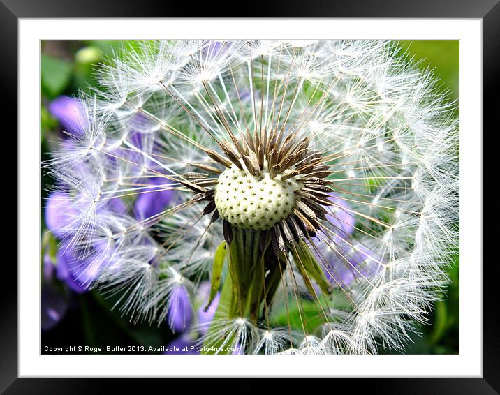 What Time Is It ........ ? Framed Mounted Print by Roger Butler