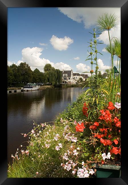 A flower display on the riverbank, Pontivy, France Framed Print by Simon Armstrong