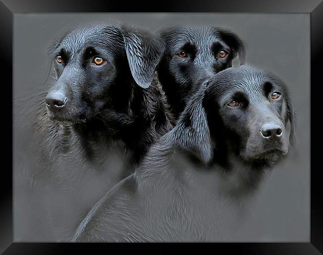 The three sisters Framed Print by Alan Mattison