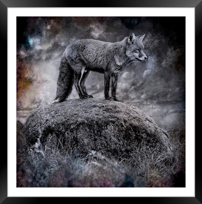  In the light of the silvery moon Framed Mounted Print by Alan Mattison