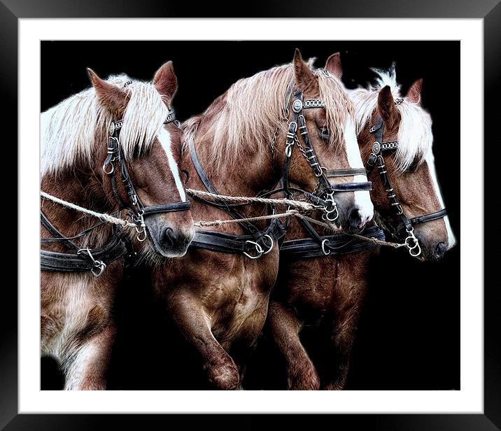  Three is a magic number Framed Mounted Print by Alan Mattison