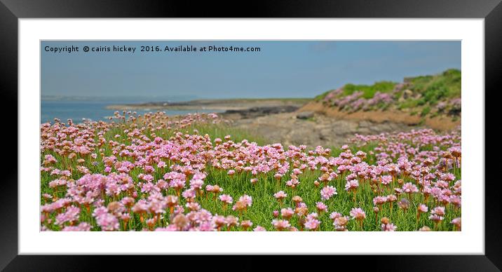 Seapinks wexford ireland Framed Mounted Print by cairis hickey