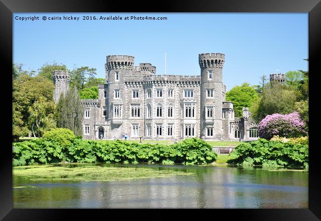 johns town castle ireland Framed Print by cairis hickey