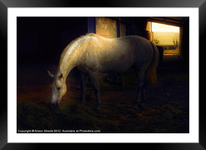 The White Horse Framed Mounted Print by Alison Streets