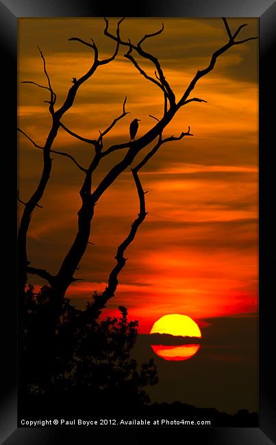 Enjoying The Sunset Framed Print by Paul Boyce